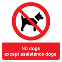 no-dogs-except-assistance-dogs~